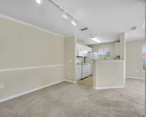 242ee4b323530c54e7528baed